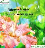 Địa chỉ nhà thuốc nam tại thánh hóa