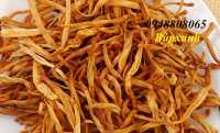 Địa chỉ mua bán hoa kim châm – cây hoa hiên tại bình dương