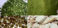 Địa chỉ mua bán lá chùm ngây, trà chùm ngây, bột chùm ngây, rễ chùm ngây, bột chùm ngây ở sóc trăng