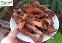 Địa chỉ mua bán cây mú từn ở đâu, công dụng, tác dụng mú từn