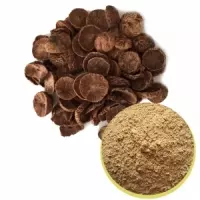 Địa chỉ bán bột hạt cau nguyên chất, bột binh lang mua ở đâu
