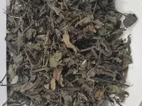 Thực hư về cây nổ ( cây sâm tanh tách ) chữa bệnh thận