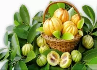 Mua quả bứa khô ở đâu, địa chỉ bán quả bứa sử dụng giảm cân, nấu canh chua, kho cá