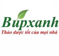 Khám phá thảo dược Việt: Cuộc đua trồng thảo dược