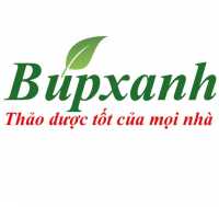 Đưa dược liệu Việt Nam tham gia thị trường toàn cầ
