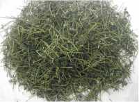 Trà Giảo Cổ Lam Giúp Trường Thọ