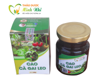 Có nên uống cà gai leo hàng ngày
