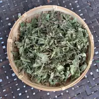 Bạc hà – vị thuốc mát lành giải cảm, thanh nhiệt, hỗ trợ tiêu hóa và giảm đau hiệu quả