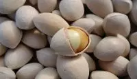 Bạch quả (Ngân hạnh) – “Thần dược” hỗ trợ trí não và bảo vệ sức khỏe tim mạch