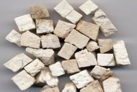 Bạch linh (Bạch phục linh) – Dược liệu quý bồi bổ tỳ vị, an thần, lợi tiểu