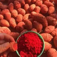 BỘT NGHỆ ĐỎ CHO GÀ CỰA (GÀ ĐÒN) – BÍ QUYẾT DA DÀY, CƠ CHẮC, CHỊU ĐÒN TỐT
