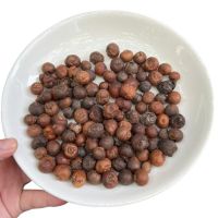 Trái Đủng Đỉnh Có Tốt Cho Xương Khớp Không? Sự Thật Cần Biết
